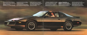 1982 Pontiac Firebird-02-03.jpg